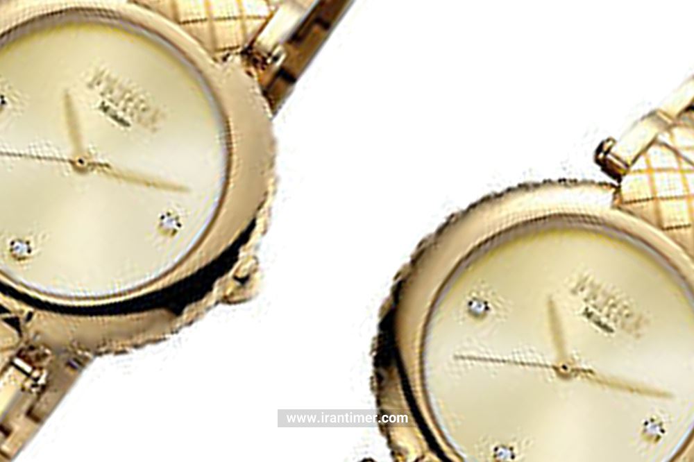 خرید ساعت مچی زنانه فره میلانو مدل FM1L099M0061 به چه افرادی پیشنهاد میشود؟